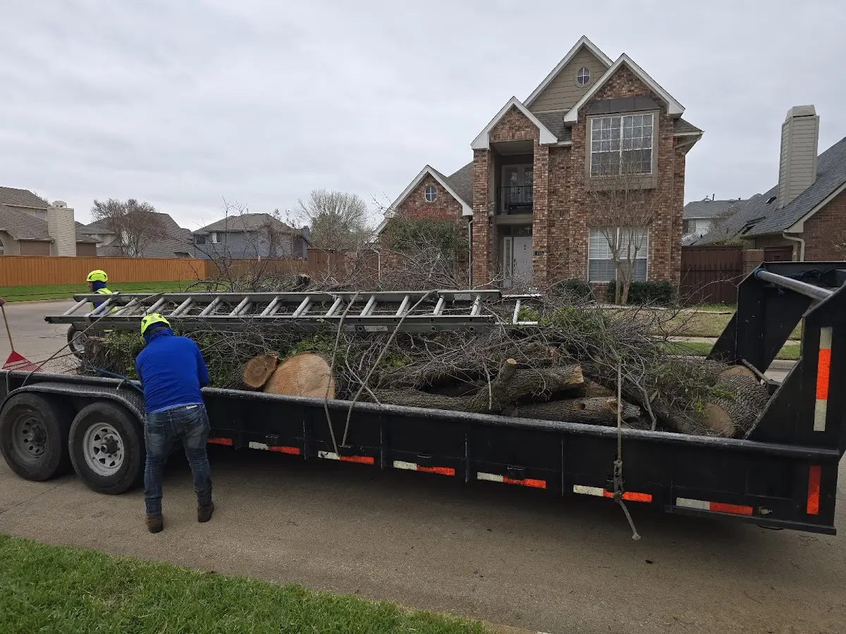 Expert Lot Clearing with proper safety equipment in Carrizozo